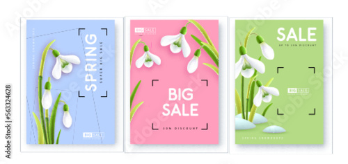 Set of Spring big sale posters with realistic full blossom snowdrops. Set of modern magazine covers. Vector illustration