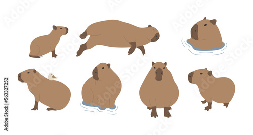 capybara 5 cute on a white background, vector illustration. capybara is the largest rodent.