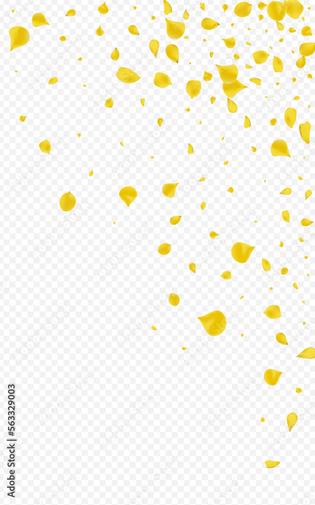 Lemon Blossom Flying Vector Transparent Lemon Blossom Flying Vector Transparent
