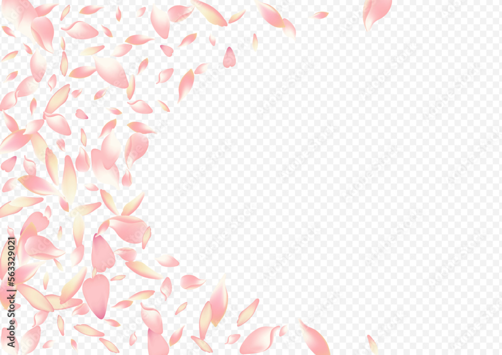 White Peach Vector Transparent Background.