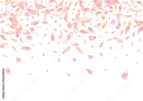 Pastel Lotus Petal Vector White Background. Pink