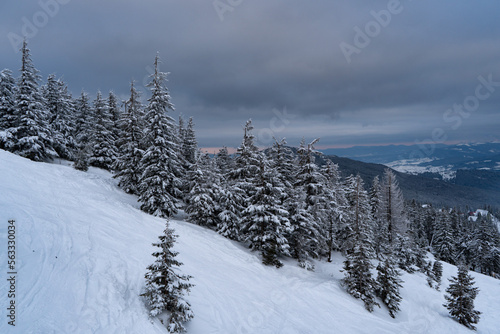 winter in the mountains