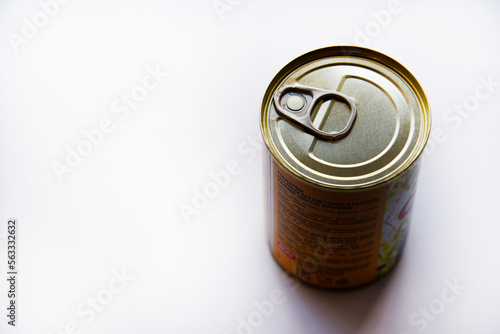 The lid of a tin can on a white background. A tin can.