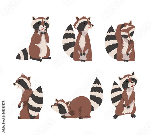 Funny Raccoon with Ringed Tail in Different Pose Vector Set