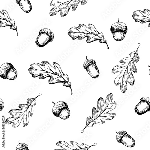 Seamless pattern, Acorn, oak leaf. Sketch vector illustrtation. Transparent background