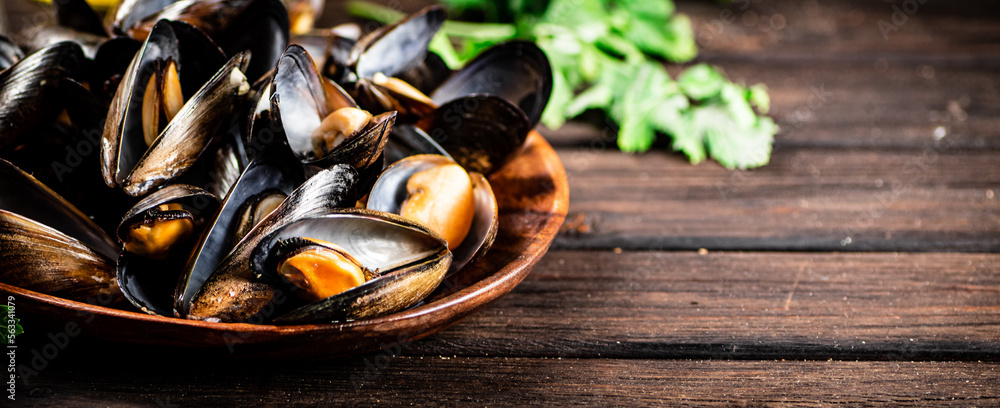 Boiled mussels in a plate with parsley. Boiled mussels in a plate with parsley.
