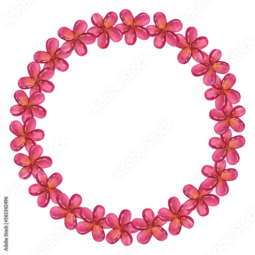 Round frame made of plumeria frangipani garland. Floral design. Hawaiian blossom. Hand-drawn watercolor illustration isolated on white background.