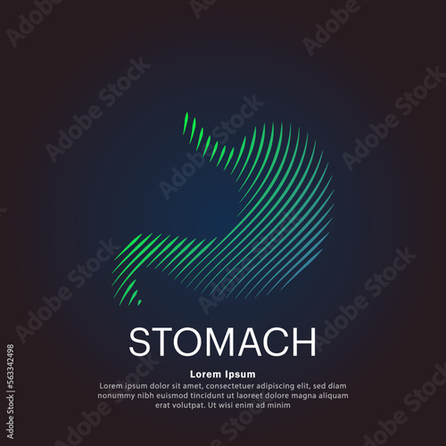 Human stomach medical structure. Creative simple line art Vector logo stomach silhouette on a dark background. stomach care logo vector design. EPS 10