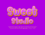Vector delicious Emblem Sweet Studio with donut Font. Funny handwritten Alphabet Letters and Numbers set