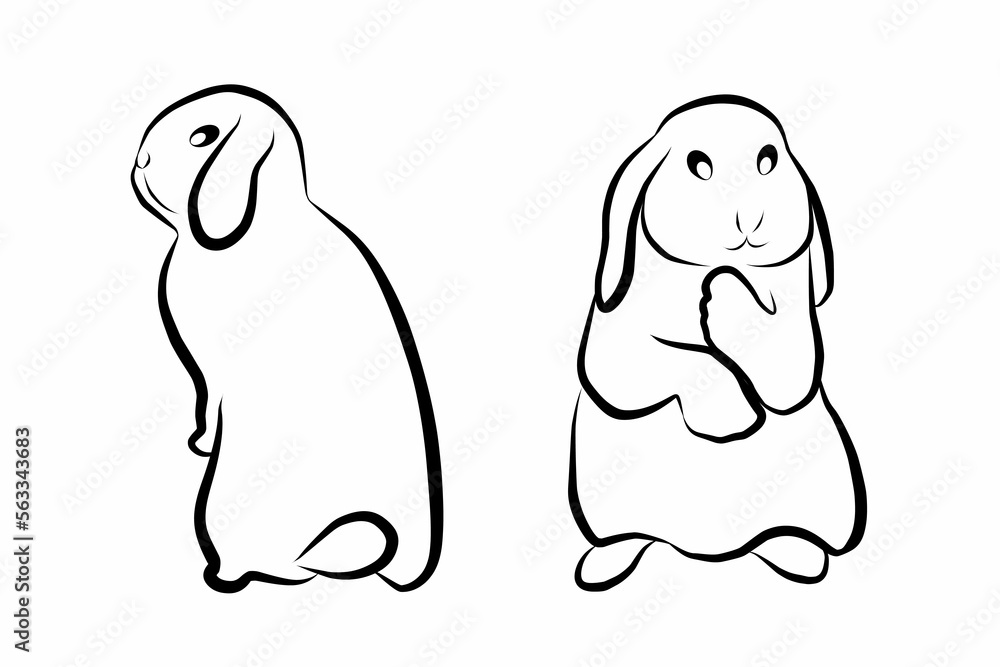decorative lop-eared rabbit black line. Decorative cute bunny hand drawn vector illustration isolated on white background. Rabbit sits in front. Black and white. Linear drawing. Calligraphy image. Sym decorative lop-eared rabbit black line. Decorative cute bunny hand drawn vector illustration isolated on white background. Rabbit sits in front. Black and white. Linear drawing. Calligraphy image. Sym