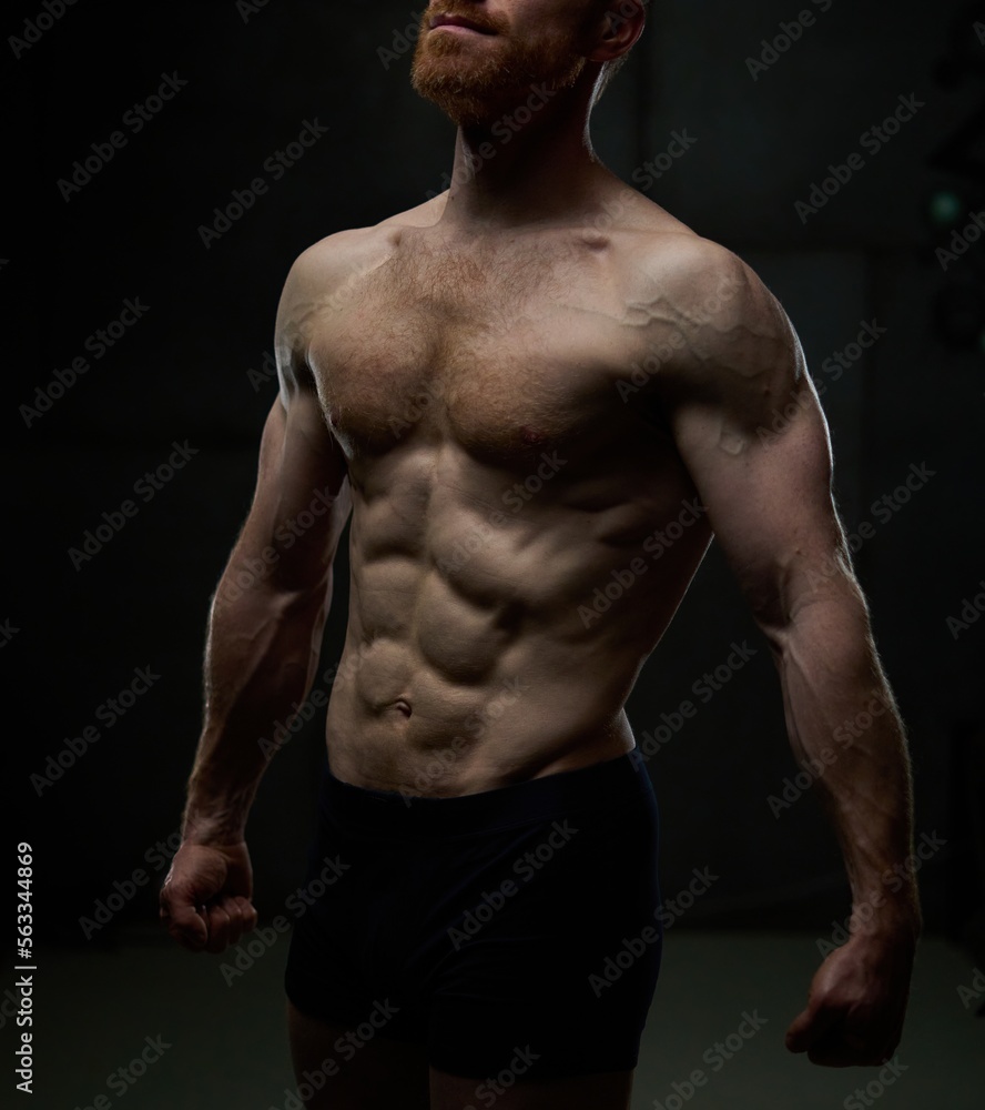Fototapeta premium Athletic muscular man body. Training, workout, muscular, body building, sport.