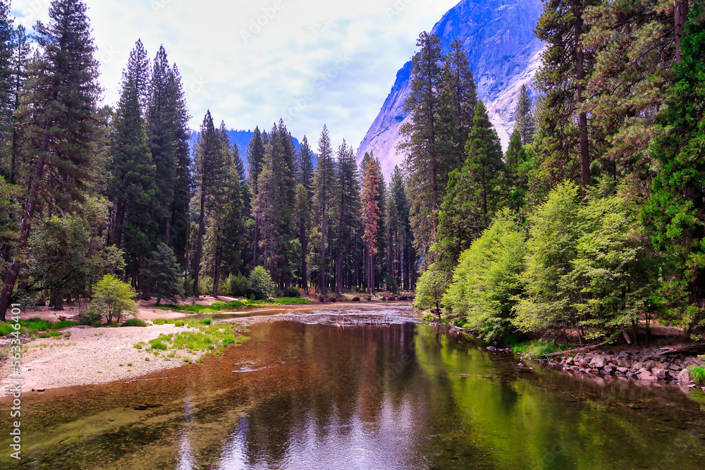 Yosemite Park California