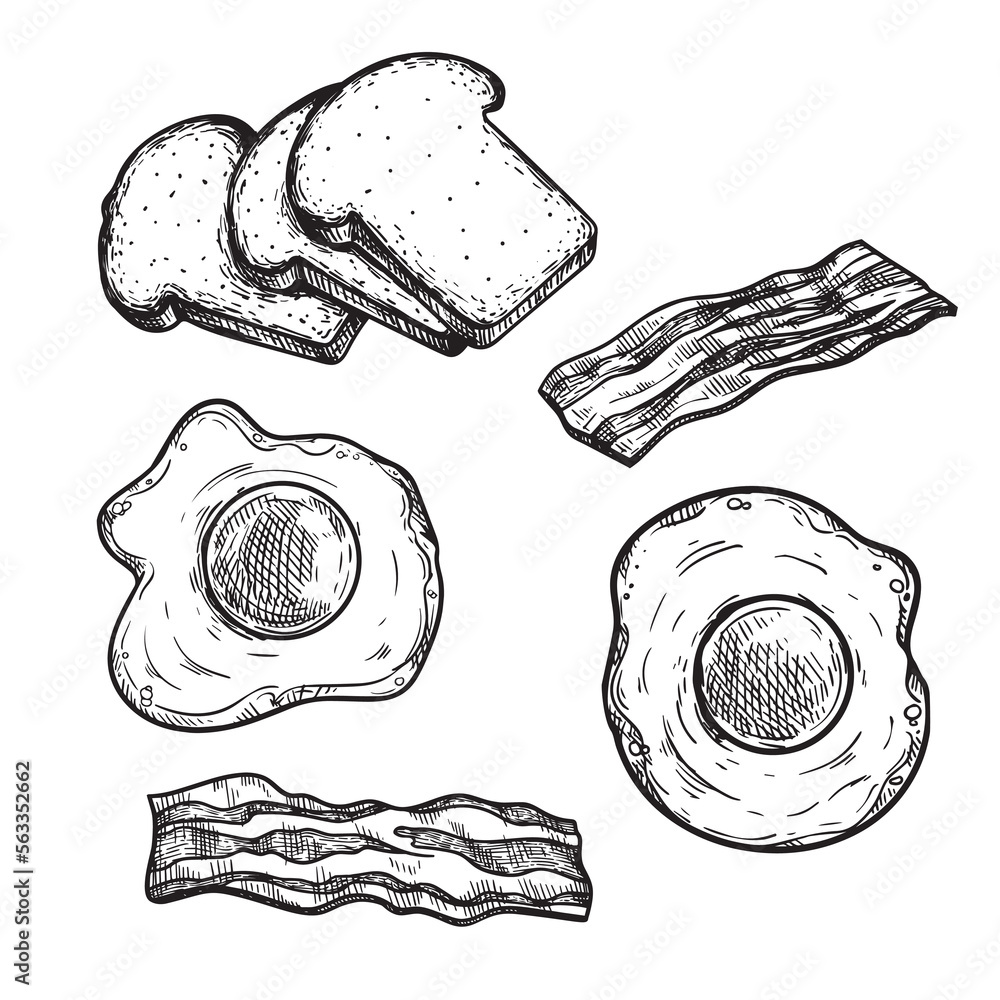 Hand drawn sketch style breakfast ingredients set. Toasted bread slices