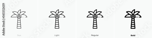 Fototapeta Naklejka Na Ścianę i Meble -  coconut tree icon. Thin, Light Regular And Bold style design isolated on white background
