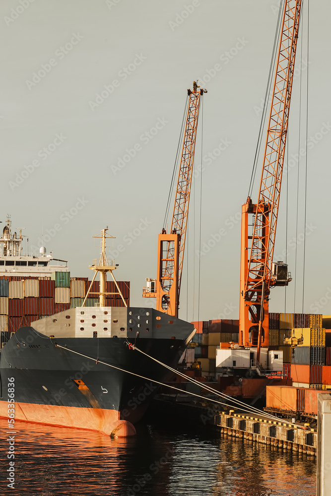 Fototapeta premium container ship uploading in commercial dock harbor