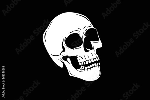 Skull Head vector