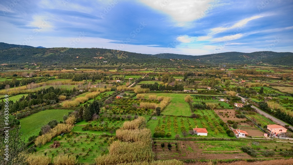 Fototapeta premium green natural landscape with pastures