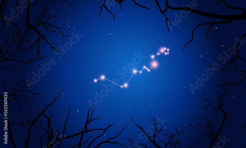 Vector illustration Hydra constellation. Tree branches, dark blue starry sky