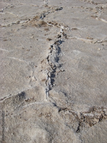 Salt Crust Pattern Line on Ground at Badwater Basin, Death Valley