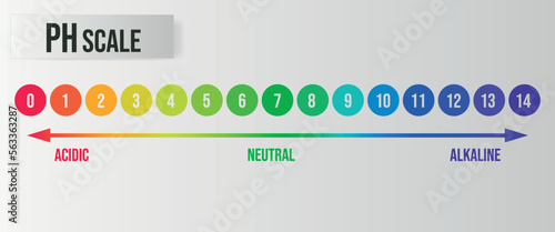 pH value scale chart for acid-alkaline solution. Acid-base balance infographic isolated on white background. Indicator for concentration of hydrogen ion in solution. Vector illustration.