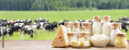 Bild auf Leinwand Dairy products