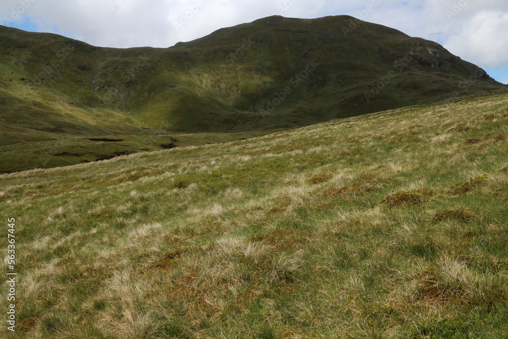 Fototapeta premium Ben Lawers - Beinn Labhair - Perth an Kinross - Scotland - UK
