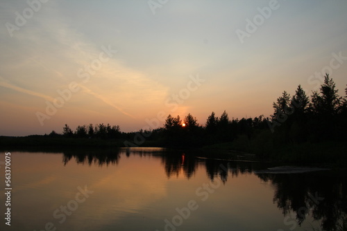 Glow Of Sunset  Pylypow Wetlands  Edmonton  Alberta