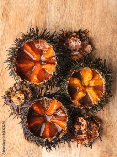 Sea urchins (ricci di mare) or uni, on the wooden background. Delicious seafood from Mediterranean Italy, Spain, Japan. Natural texture