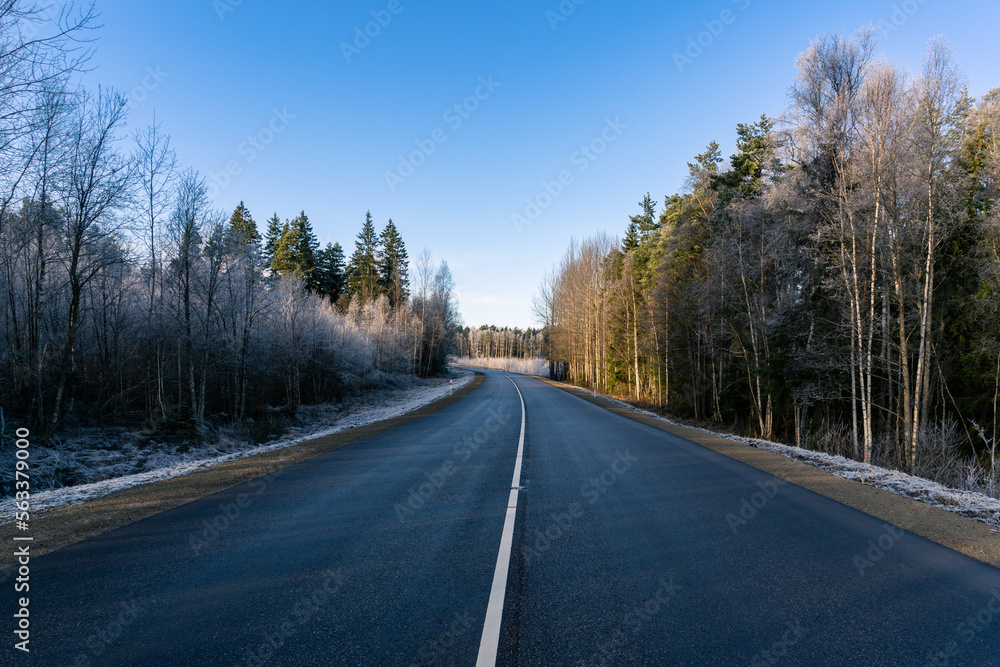 Fototapeta premium Highway. Highways white line. Asphalt road between frosty trees in the sunny day