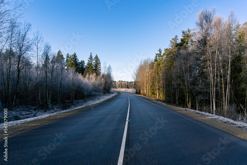 Highway. Highways white line. Asphalt road between frosty trees in the sunny day