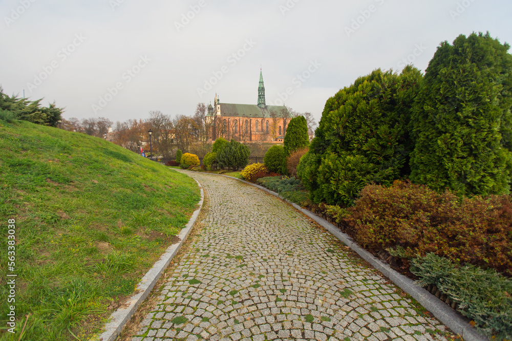 Road in a park, Sandomierz, Poland
