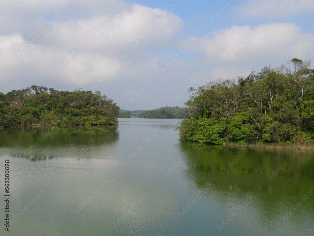 Lago calmo entre vegetação