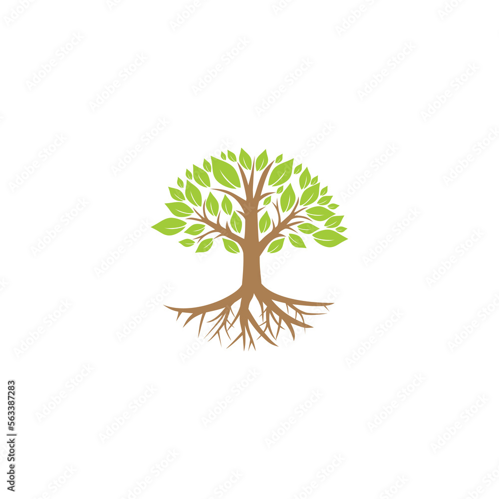 Obraz premium Tree icon concept. Tree root design illustration isolated on white background