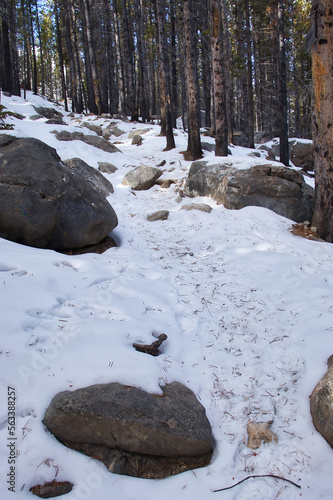 Trail in the Bighorn National Forest with snow, rocks and trees on a winter day in Wyoming. © Kari