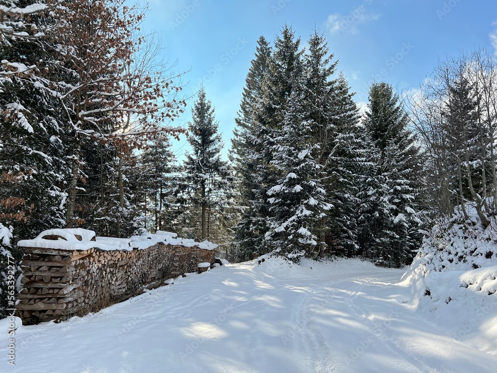 Winter snow idyll along the rural alpine road above the Lake Walen or Lake Walenstadt (Walensee) and in the Swiss Alps, Amden - Canton of St. Gallen, Switzerland (Schweiz)