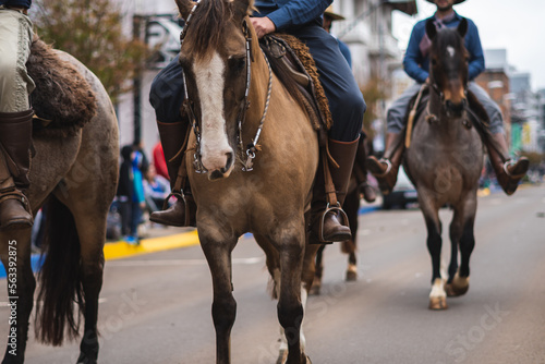 Horse and Rider at the Farroupilha Week Parade © Viccenzo