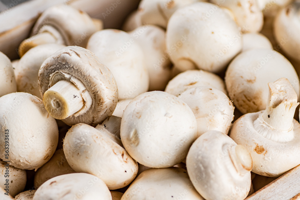 Fresh aromatic mushrooms. Macro background. Fresh aromatic mushrooms. Macro background.