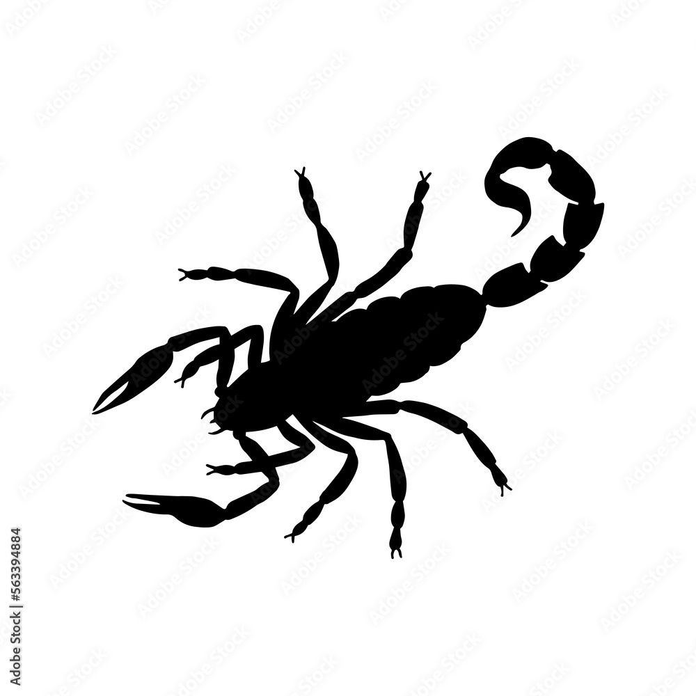 Scorpion silhouette. Vector stock illustration eps 10. Scorpion silhouette. Vector stock illustration eps 10.