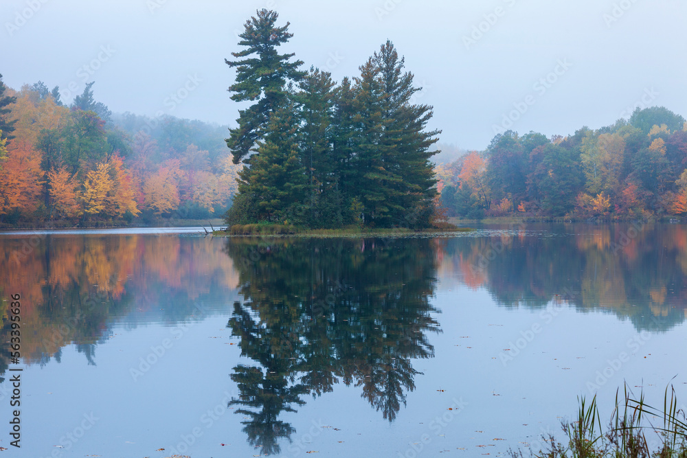 Calm lake and fog in northern Minnesota with trees in autumn color and pines on a small island