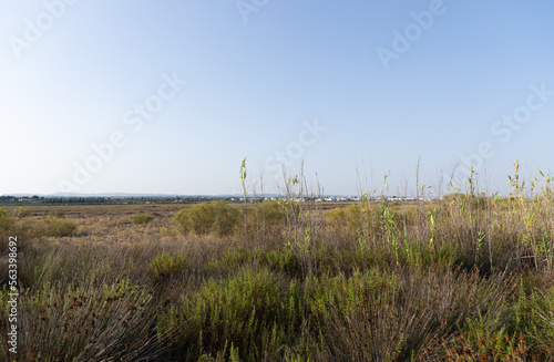 Ria Formosa Natural Park, Santa Luzia, Algarve