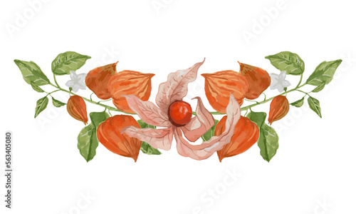 Watercolor horisontal physalis branch. Vector hand drawn illustration