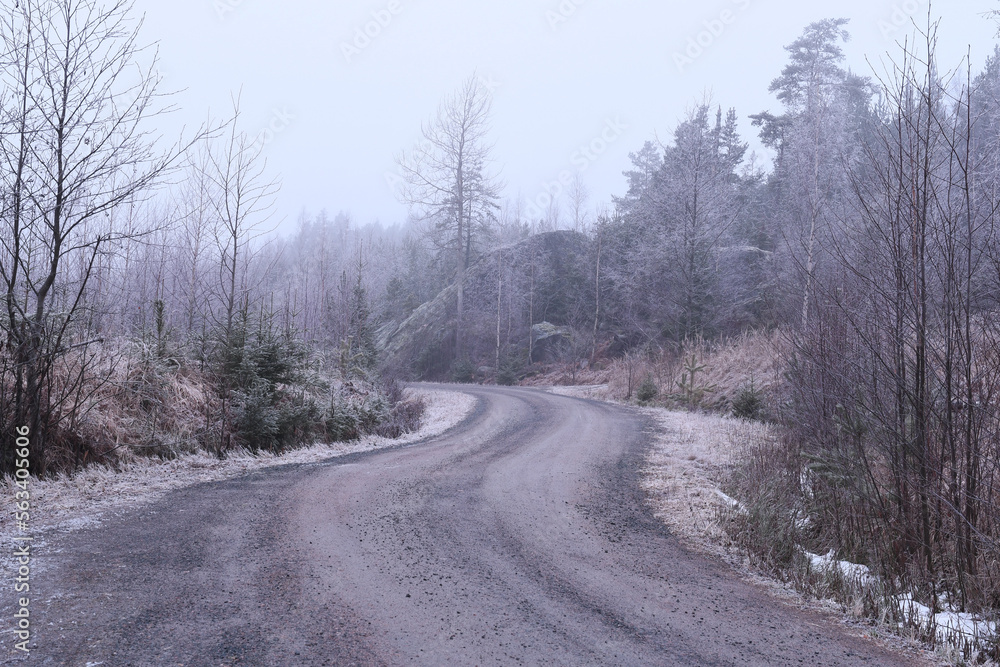 Gravel road in the middle of a large forest Gravel road in the middle of a large forest