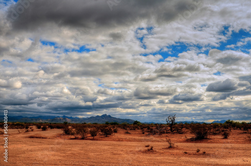 Sonora Desert Arizona