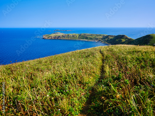 礼文島の風景