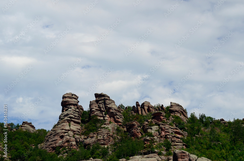 Rocks with shapes and green forest in Belogradchik