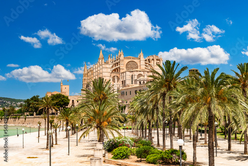 Palma de Mallorca - Parc de la Mar with La Seu Cathedral and Almudaina Palace in the background - 4046 photo