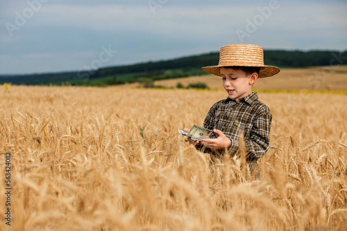 Little boy is holding dollars among a field of ripe ears of corn. Profit from agriculture during harvesting season in the summer © volody10