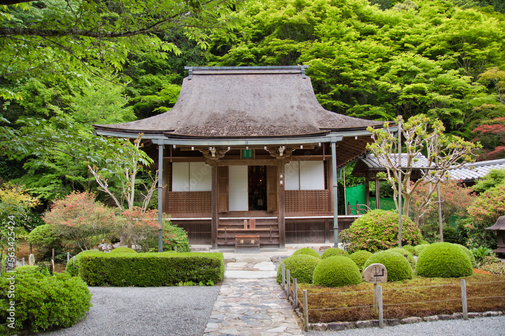 The main hall of Jakkou-In temple.  Kyoto Japan
