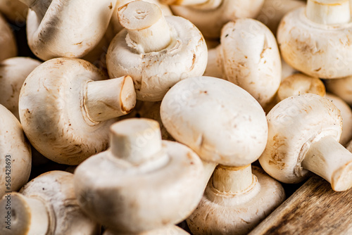 Fresh aromatic mushrooms. Macro background.