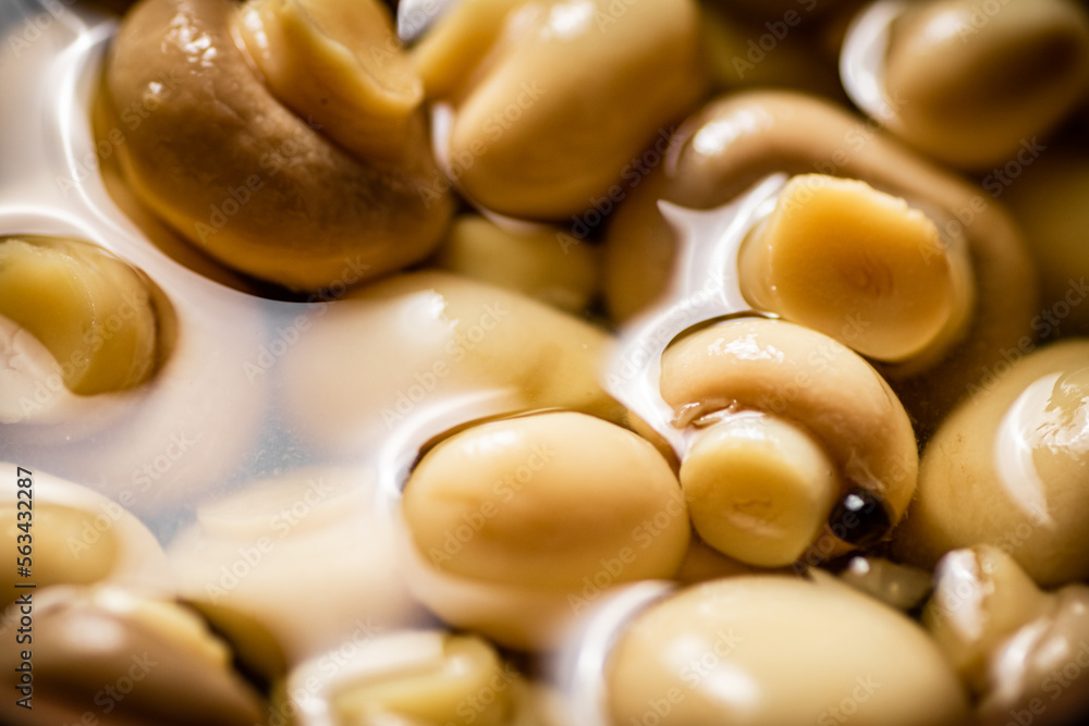 Pickled mushrooms in brine. Macro background. Pickled mushrooms in brine. Macro background.